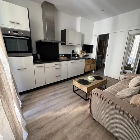Appartement Cocon Boheme Croisette-palais-plages 200m Cannes