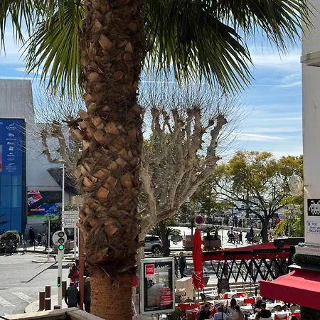 아파트 Cocon Boheme Croisette-palais-plages 200m 칸느